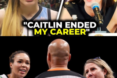 WNBA Stars Went After Caitlin Clark and Got HUMBLED
