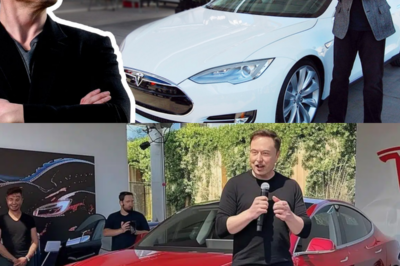 The REAL Story of How Elon “Stole” Tesla