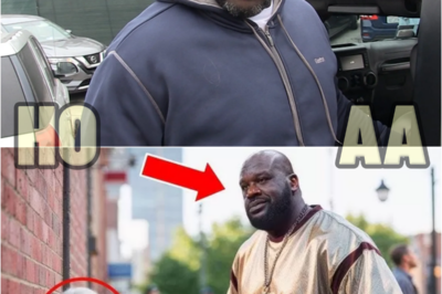 Big Shaq meets his former teacher as a homeless man—the ending will shock you so much, you won’t believe it! | HO