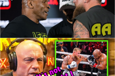 Joe Rogan Believes Jake Paul vs. Mike Tyson Was Sparring Not a Real Fight
