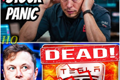 Elon goes into FULL PANIC as Tesla stock crashes – Trump’s Unusual ‘Rescue’ Stunt Sparks Controversy – s