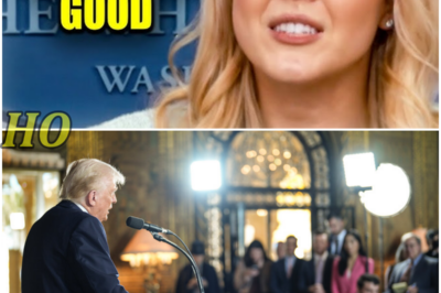 Trump Press Sec. FLOORS Reporter With Canada Trade Blunder! – S