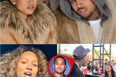 Karrueche TAKES BACK Chris Brown? CONFIRMS Reunion After Years Of Trauma | HO