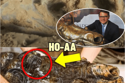 Man Unearths A Metal Block In The Ground, When Experts Look Closer They Instantly Turn Pale! | HO