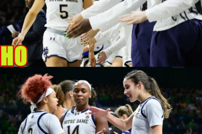 Portal News – Olivia Miles & Kate Koval Commit and What’s Next for UConn and South Carolina