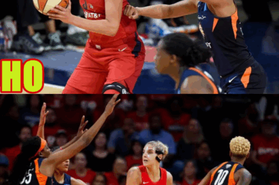 The WNBA Media NEEDS To Do Better…