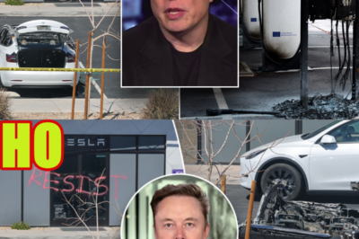 Elon Musk Urges Authorities to Go After the ‘Generals’ in Tesla Attacks