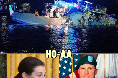 Bombshell NEW REPORT reveals who made fatal MISTAKE that caused Black Hawk to collide with jet and k!ll 67 | HO