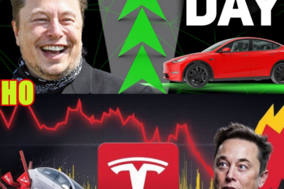 Tesla Stock Goes Parabolic: Time to Celebrate?