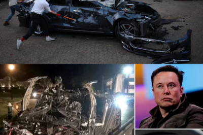 Elon Musk: Tesla Destroyed In London | Everyone Hates Elon | Massive Anti-Elon Musk Protest