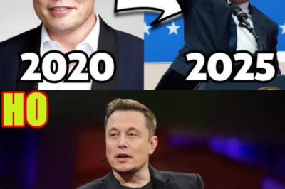 The Pathetic Downfall of Elon Musk
