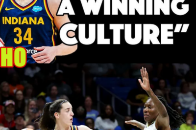 Former Fever Player CONFIRMS The Old Fever Was NOT a Winning Culture…