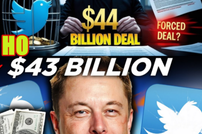 How Elon Musk CAPTURED Twitter! | The Forced $44 Billion Deal