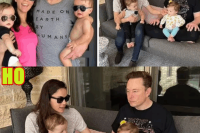 Is Elon Musk Planning to Father a Legion of Super-Babies?