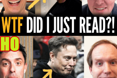 INSANE WSJ Article EXPOSES Elon Musk’s Baby ‘Legion’ Plans