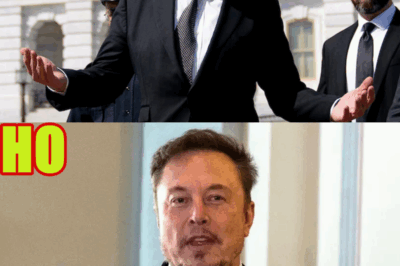 ‘Mind is blown’: Elon Musk Attempts to Conceal His Paternity to 14th Child