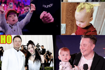 Elon Musk’s Secret Baby Empire: 14 Kids, NDAs & Millions Paid for Silence