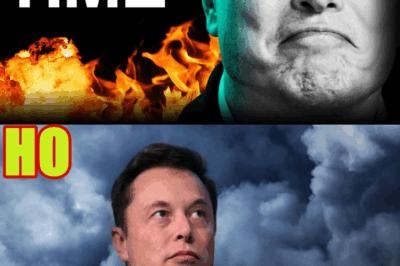 Elon Musk’s Bold Prediction: “This Year” (+ Tesla Insiders Spill The Beans)