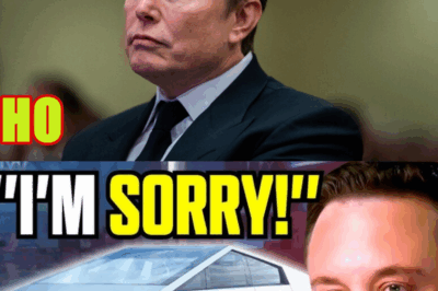 Tesla Flounders as Elon Musk Poisons the Brand
