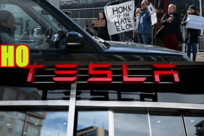 Tesla Profits Plunge as Musk Promises He’s Ready to Step Away from Role at DOGE