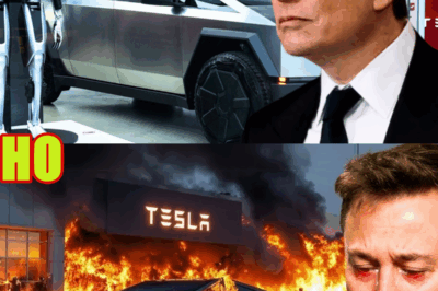 Musk IN SHAMBLES As Tesla Heads for BANKRUPTCY