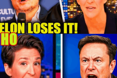 Maddow CRACKS UP After Revealing SECRET MUSK RECORDING