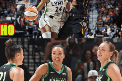 I Ranked Every WNBA Team Ahead Of The 2025 Season