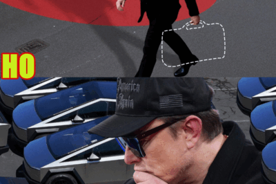 Elon Musk Is Running Out Of Ideas To Save Tesla