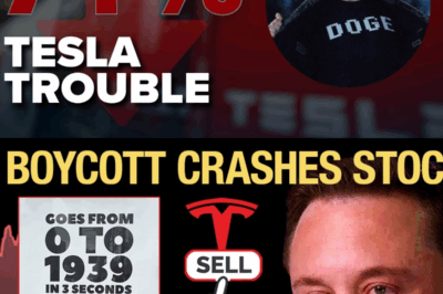 Elon Musk Backs Away from DOGE as Tesla Profits Sink 71% in Q1