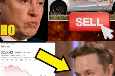 Wall Street DUMPS Elon Musk Billions