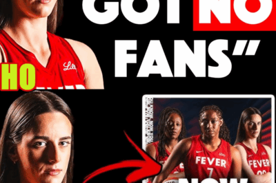 The Fever Admin TROLLS The Other 12 WNBA Teams For Having Less Fans…