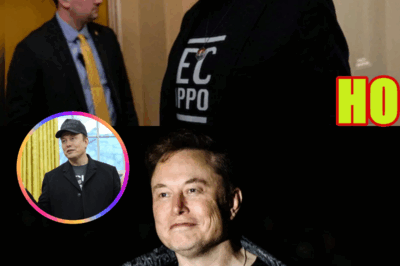 Elon Musk Stepping Down from DOGE