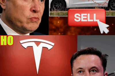 Wall Street Dumps Elon Musk Billions: Tesla’s $700 Billion Meltdown