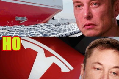 Why BYD Just Left Tesla in Its Wake