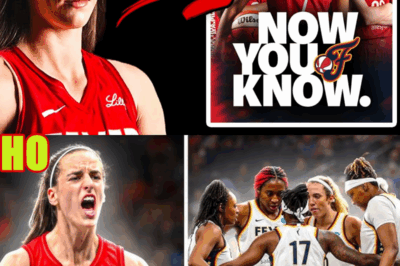 The Indiana Fever Troll WNBA Teams in Savage New Marketing Campaign