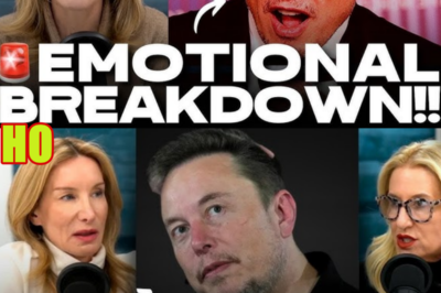 LOL! PATHETIC Elon Musk Has PUBLIC MELTDOWN After Being CYBERBULLIED