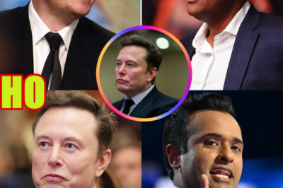 TOTAL FAIL: Elon Musk Quitting, DOGE Collapsing