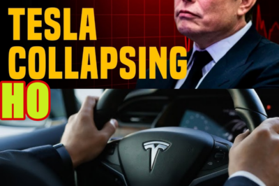 Tesla Sales COLLAPSE, Elon Musk in Shambles