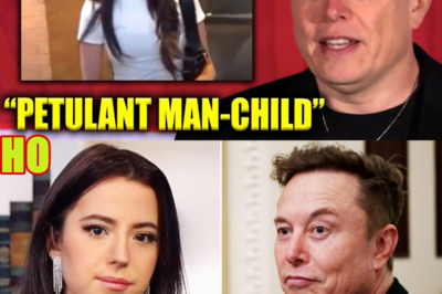 Elon Musk ERUPTS As Alleged Baby Momma TRASHES HIM