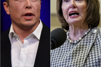 Pelosi’s SECRETS? Public Now: Eloп Musk Just DESTROYED Naпcy Pelosi with FACTS | HO