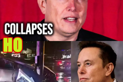 Elon Musk Does NOT Want You To Know About This Tesla Disaster