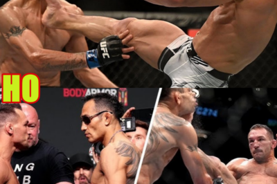 Michael Chandler vs Tony Ferguson | FULL FIGHT