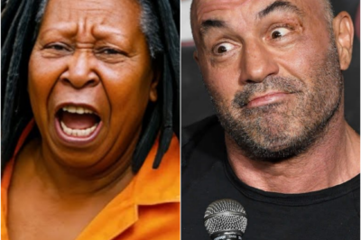 Joe Rogan Hilariously MOCKS Whoopi Goldberg After Her Emotional Courtroom Breakdown | HO