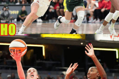 VETERAN WNBA REPORTER FINALLY Caught PUSHING RACIST NARRATIVE ON CAITLIN CLARK!