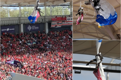 IT’S DANGEROUS! Horror moment parachutist CRASHES into stadium roof before dramatic rescue ahead of Champions Cup clash (𝗩𝗜𝗗𝗘𝗢) – S