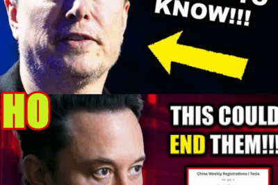 Elon Musk CRASHES His Own Company As Cybertruck Disaster Skyrockets