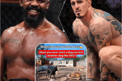 Jon Jones Subtly Dismisses Tom Aspinall, Confident Of An Easy UFC Comeback Win