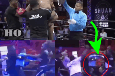 Chaos erupts at boxing match as referee is swarmed by attackers after announcing winner