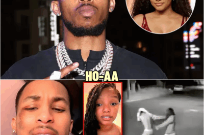 DDG Leaks Video Evidence To Prove That Halle is LYING| She Put Hands On Him| He’s The Victim? | HO