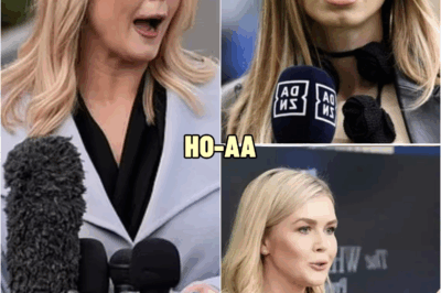 THIS JUST HAPPENED💥: Reporter FIRED After INSULTING Karoline Leavitt LIVE on TV | HO